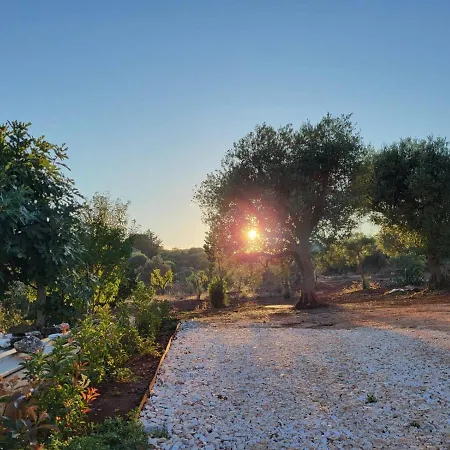 Trullo A Prima Vista Alojamento de Acomodação e Pequeno-almoço 4*